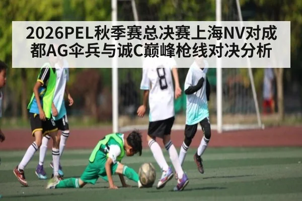 2026PEL秋季赛总决赛上海NV对成都AG伞兵与诚C巅峰枪线对决分析