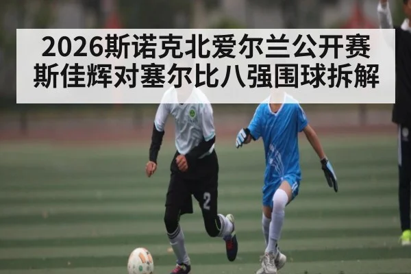 2026斯诺克北爱尔兰公开赛斯佳辉对塞尔比八强围球拆解